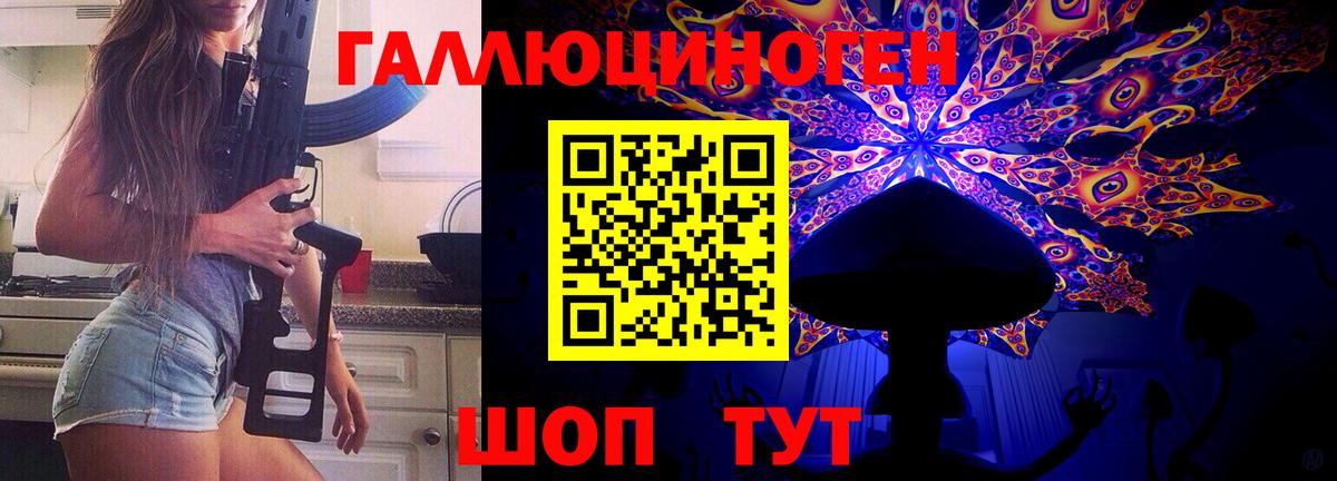 Новокубанск  Псилоцибиновые грибы Psilocybine cubensis  Вход с VPN 