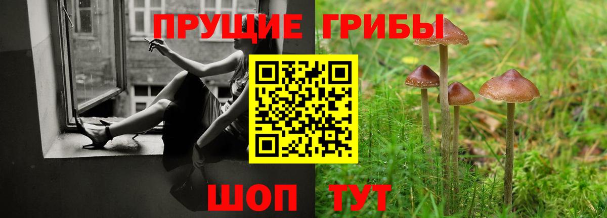 Галлюциногенные грибы ЛСД Новокубанск